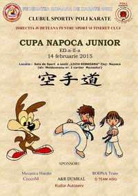 afis Cupa Napoca Junior 2015