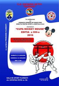 afis Cupa Mickey Mouse 2016