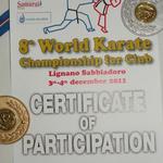 Campionat Mondial pe cluburi 2011