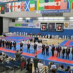AMA Open International Karate 2013 2013