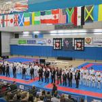 AMA Open International Karate 2013 2013