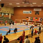 Solrod Karate Open 2013