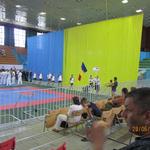 VI World Cup Finals Karate and Kobudo 2013