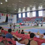 VI World Cup Finals Karate and Kobudo 2013