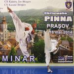 Stagiul National de Kumite Competitional - Christophe Pinna 2014