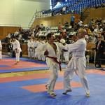 2nd European Champions Cup - WUKF RULES 2011