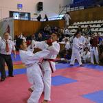 2nd European Champions Cup - WUKF RULES 2011