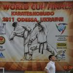 IV World Cup Finals Karate & Kobudo 2011